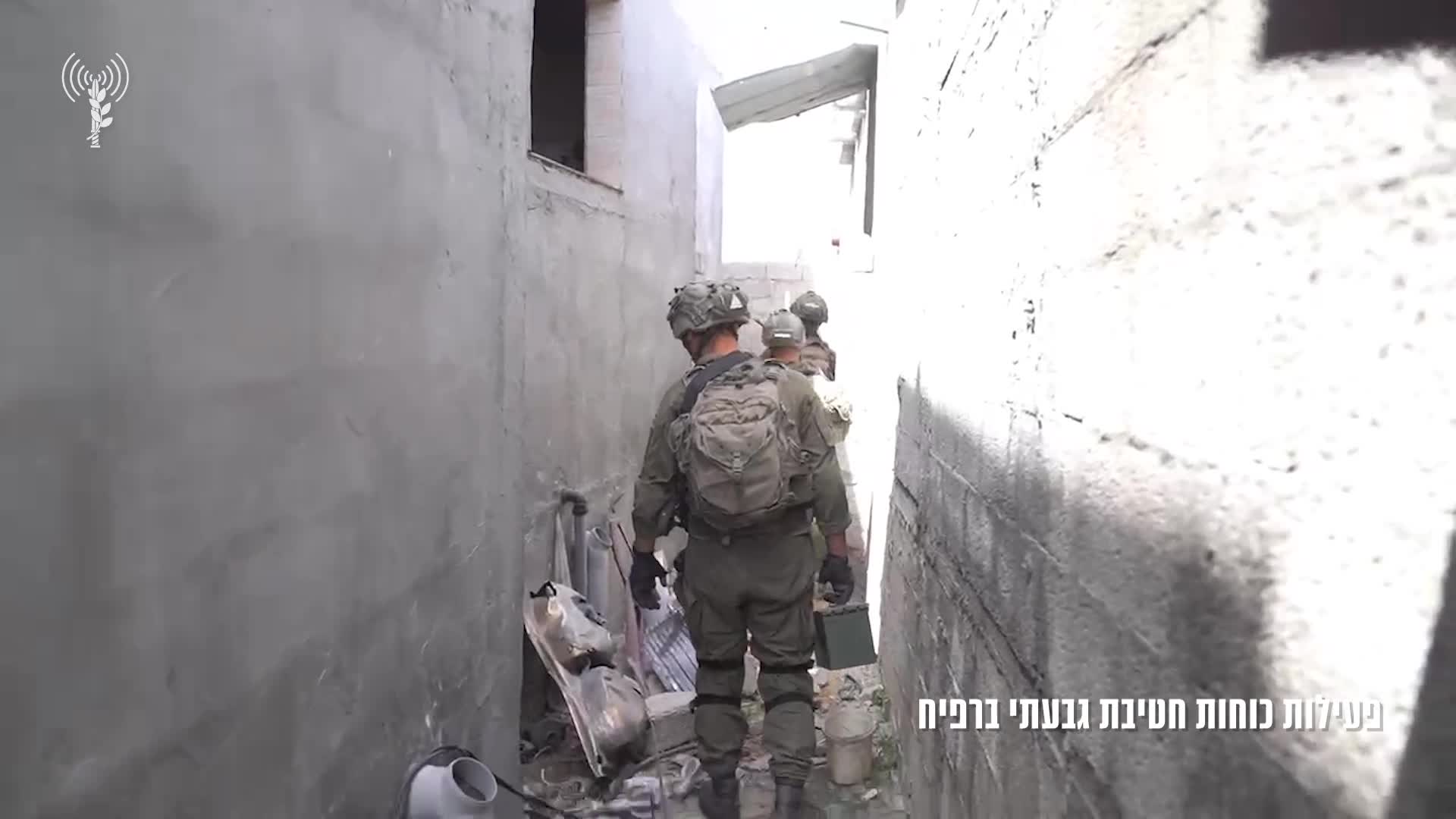 רפיח