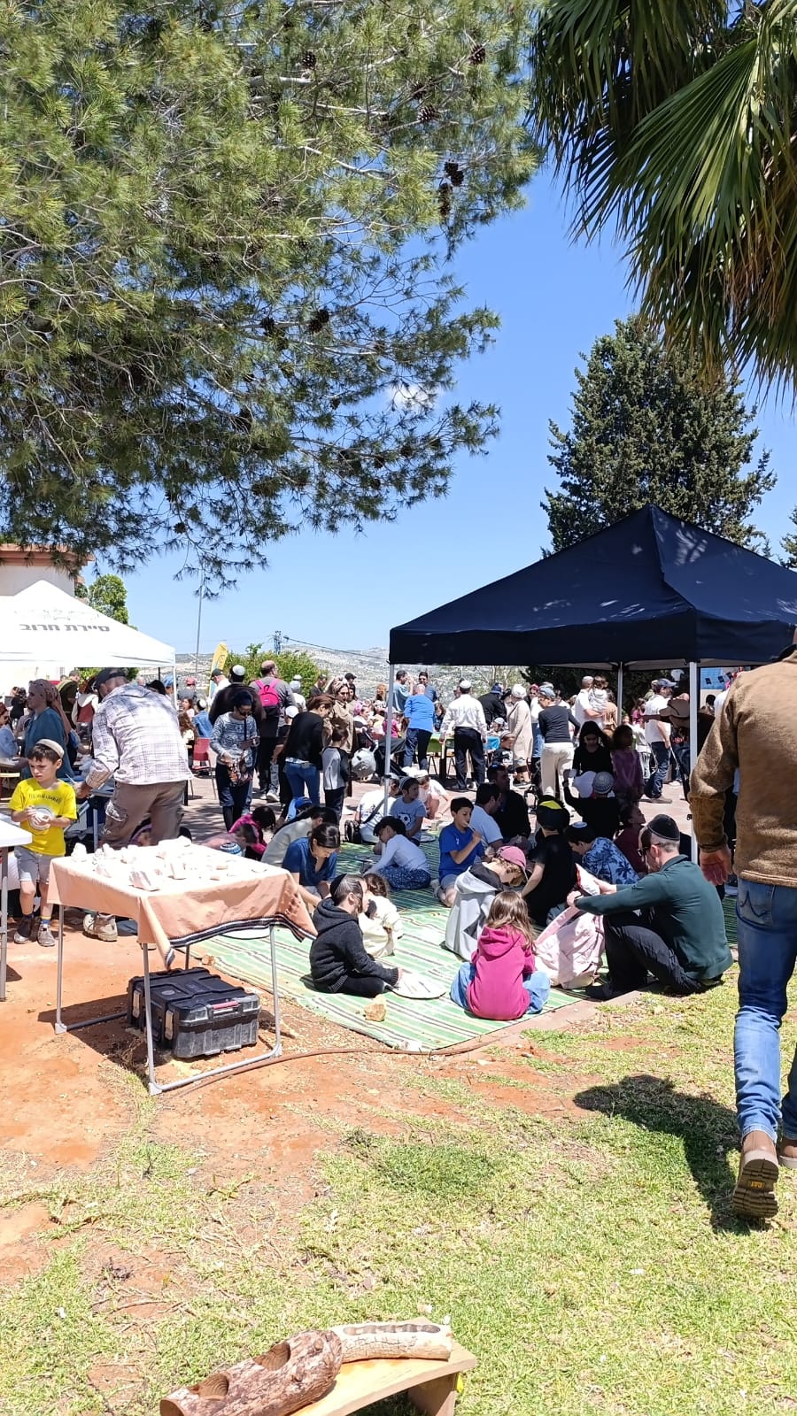 חול המועד בשומרון: אלפים טיילו בחוות ובאתרי ההיסטוריה