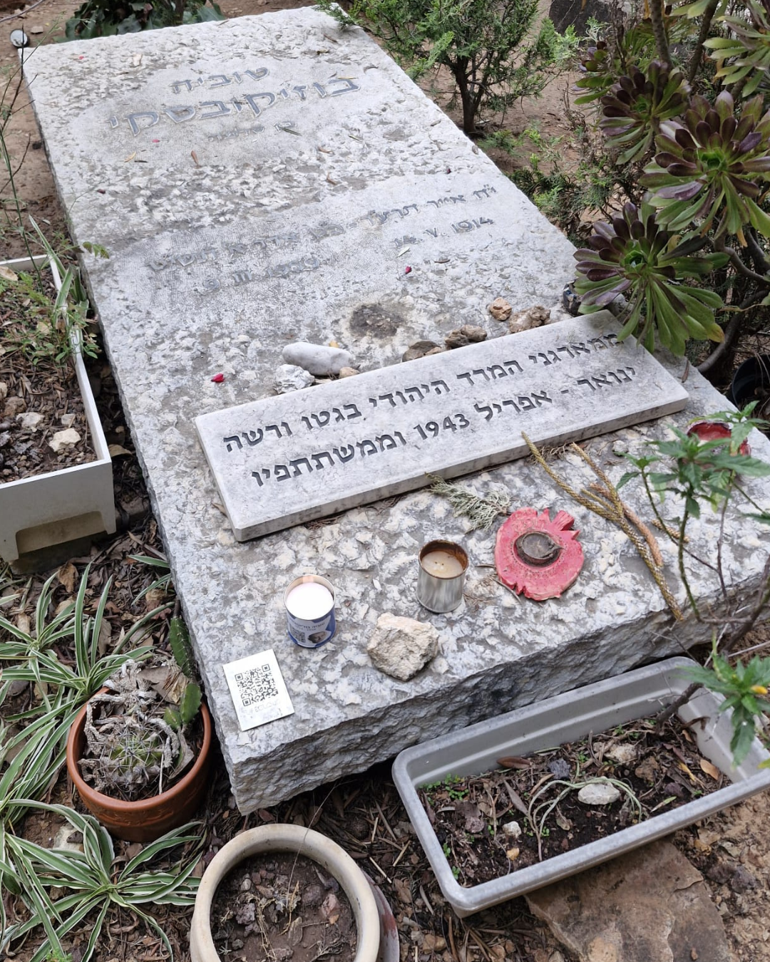 הפרויקט המשותף עם קיבוץ לוחמי הגטאות להנצחת ניצולי השואה שהקימו את הקיבוץ (צילום Lifecloud)
