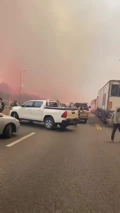 WhatsApp Video 2025-04-30 at 14.03.04
