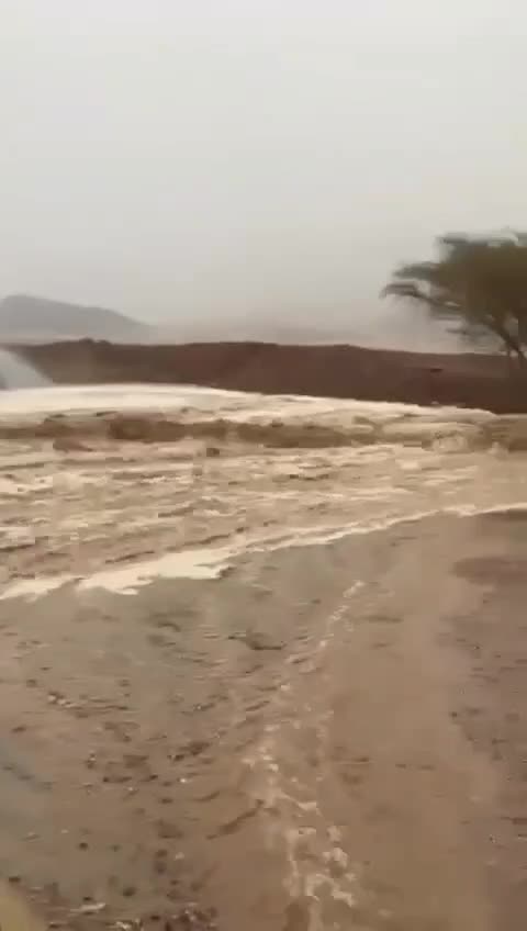 WhatsApp Video 2025-05-04 at 18.19.27