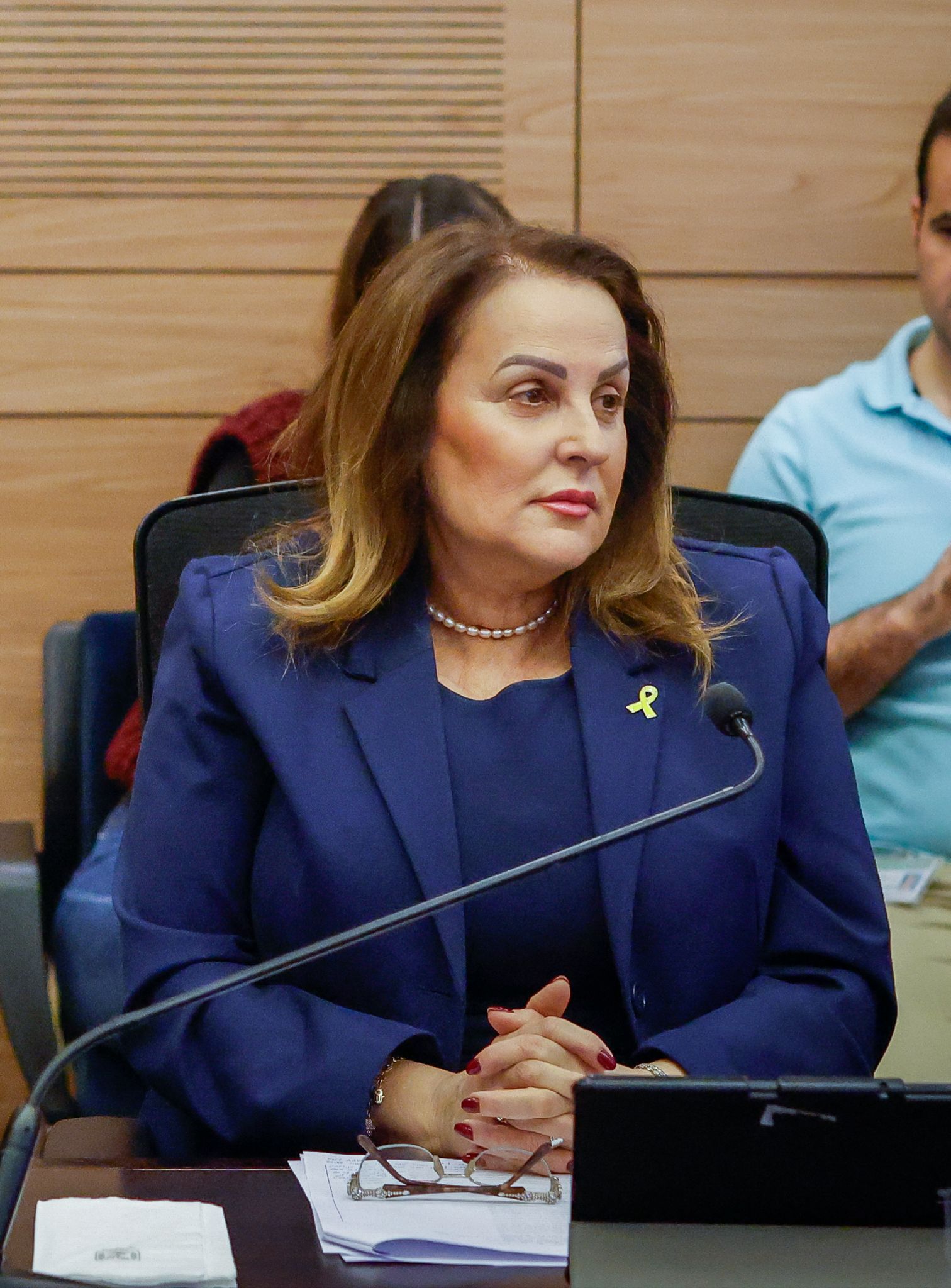 חברת הכנסת קטי שטרית. קרדיט: נועם מושקוביץ׳, צלם הכנסת.