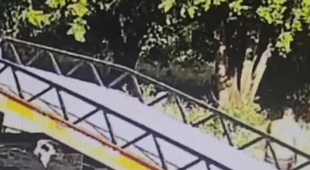 WhatsApp Video 2025-05-27 at 11.13.39
