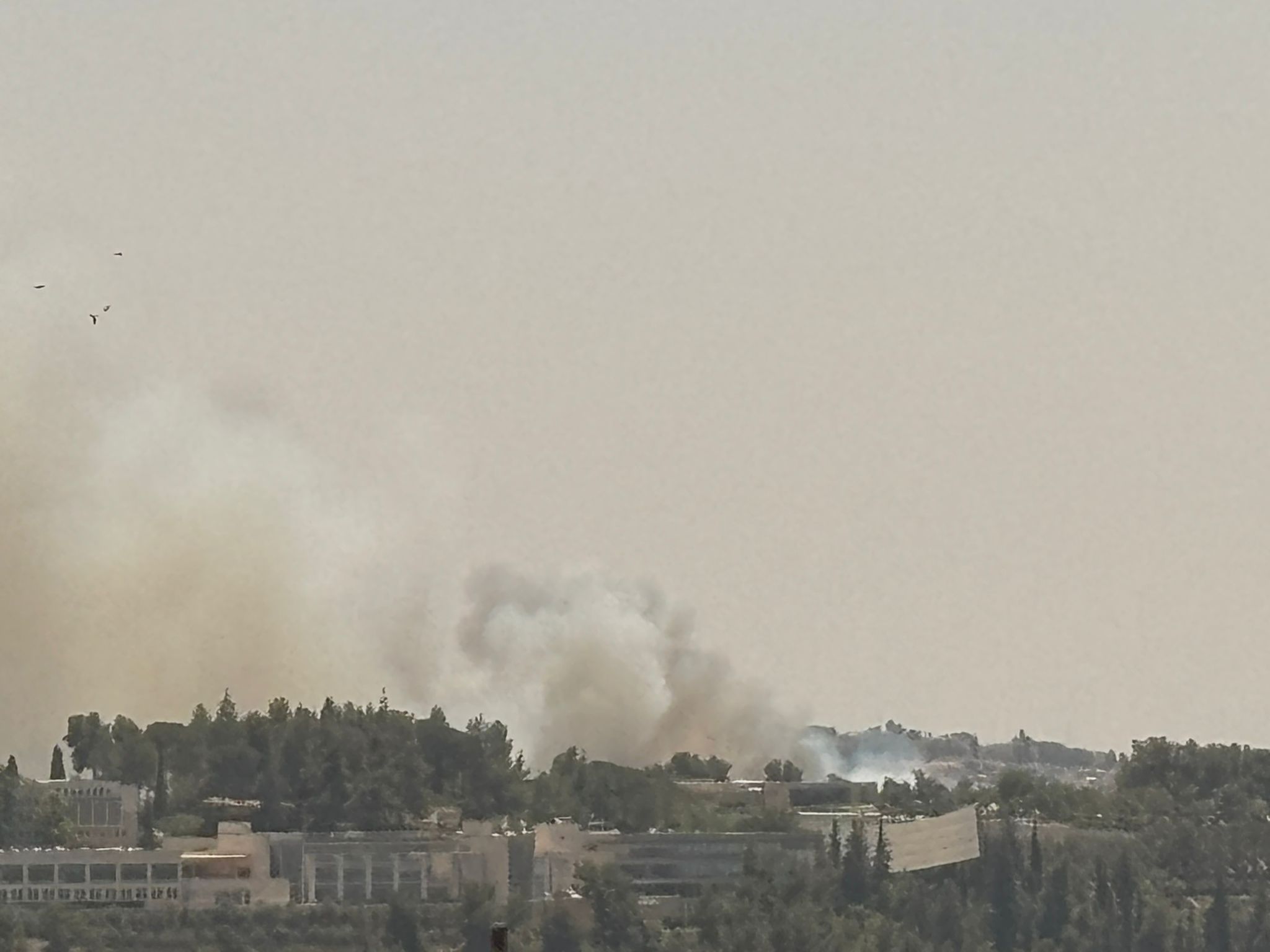 השריפה בעין כרם: מוסדות חינוך רבים מתפנים מהאזור