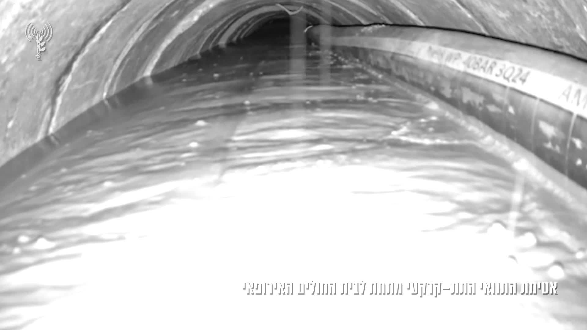 איטום בית החולים האירופי