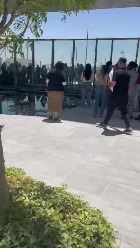 הפגנה יועמשית