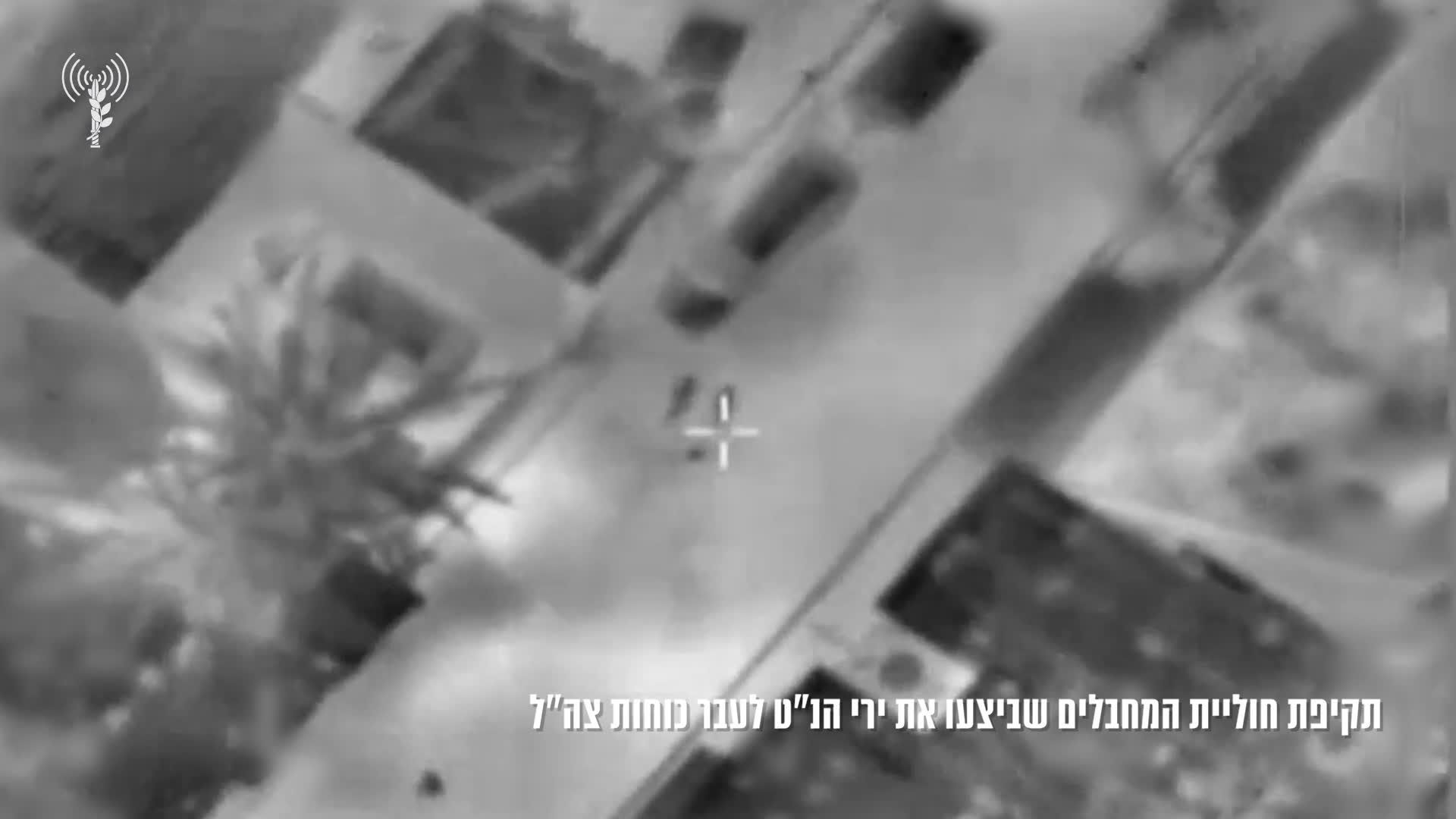 חיסול חולית נט