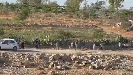 WhatsApp Video 2025-07-29 at 14.20.05