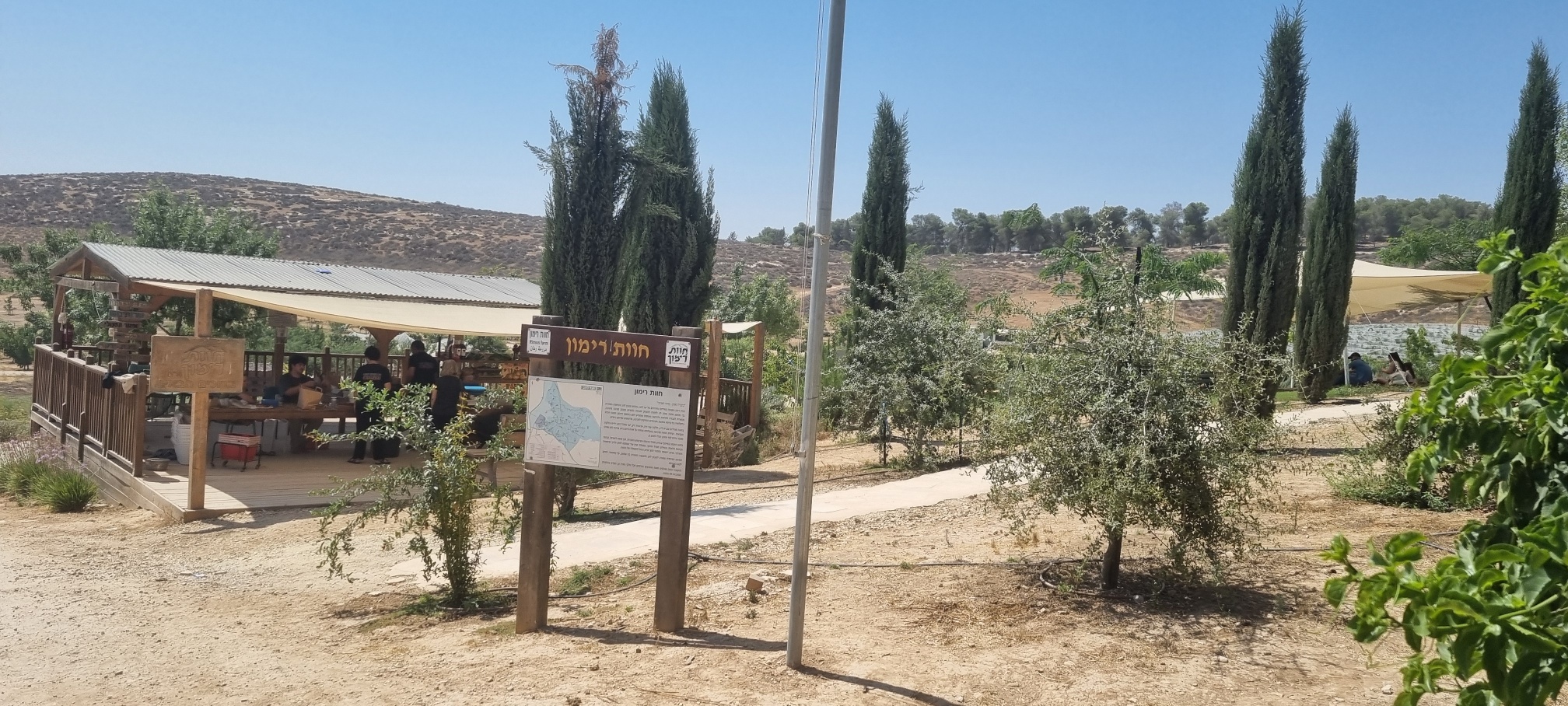רימון ביער (צילום קובי פינקלר, סרוגים)