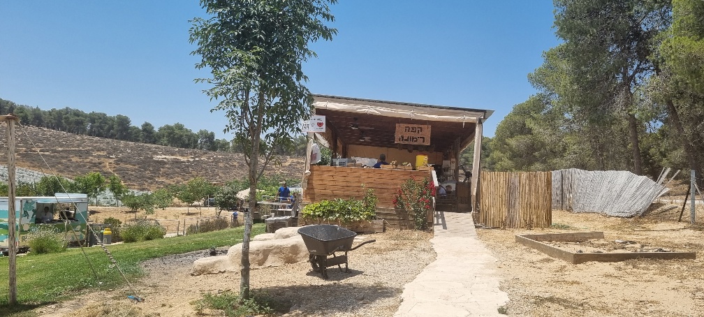 קפה רימונה (צילום קובי פינקלר, סרוגים)