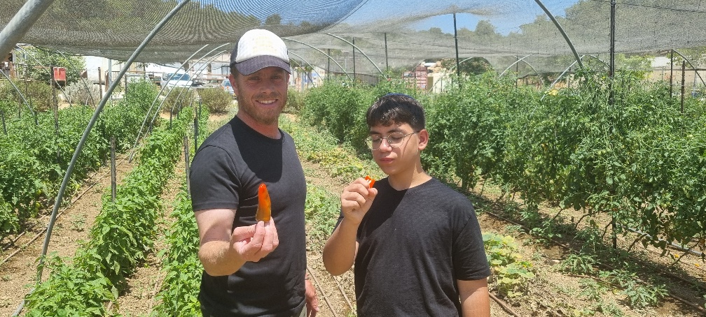 ניר חוות רימון (צילום קובי פינקלר, סרוגים)