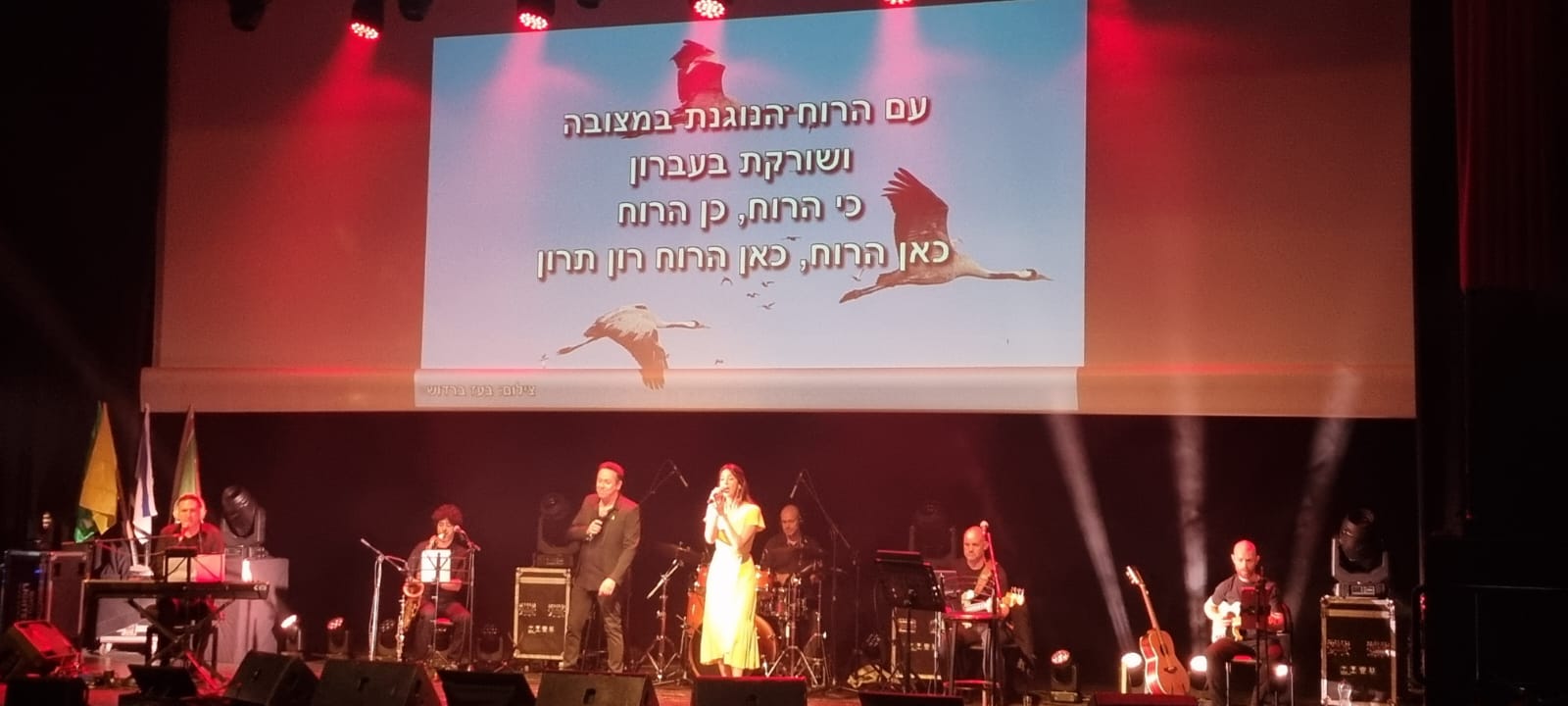 פסטיבל "לא בשמיים"
