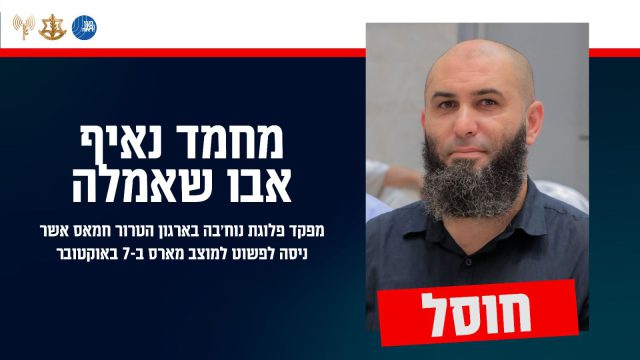 הותר לפרסום: חוסל מחבל שחדר לישראל