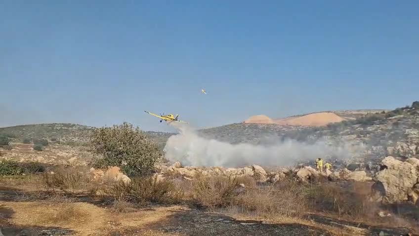 שריפה שומרון