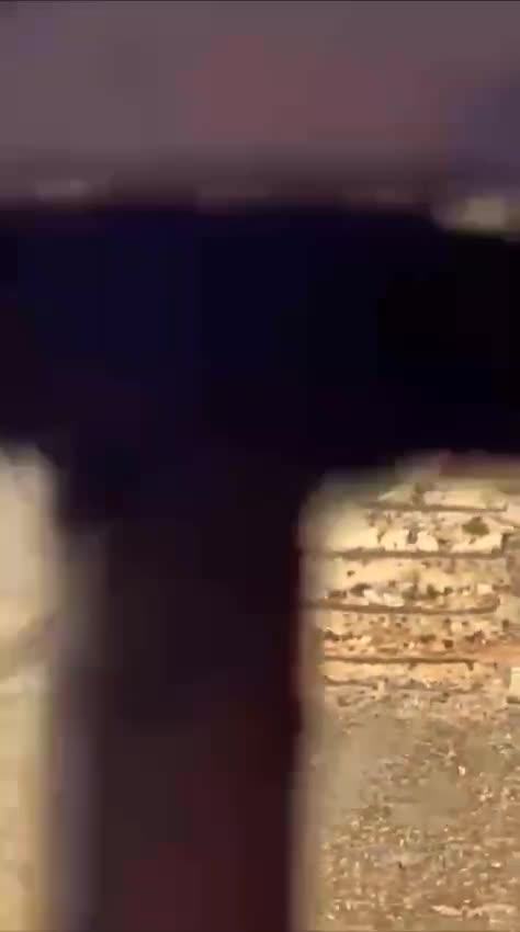 WhatsApp Video 2025 11 19 At 15.46.45