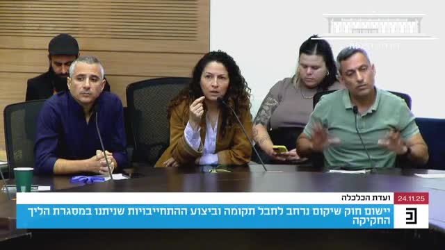 כלכלה אלון דוידי ,