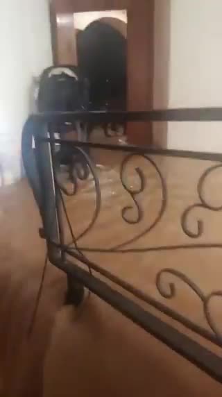 גשם אלקנה כיבוי והצלה אויש