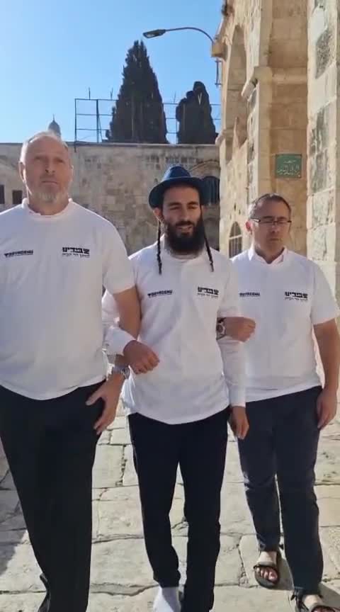 שירת הלויים