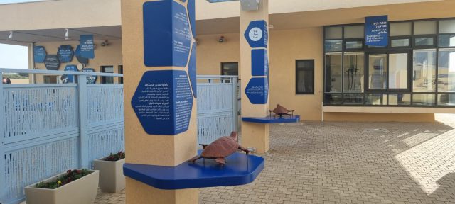 מרכז הצלה לצבי ים וגוזל נשר חדש: שנה משמעותית לחיות הבר בארץ