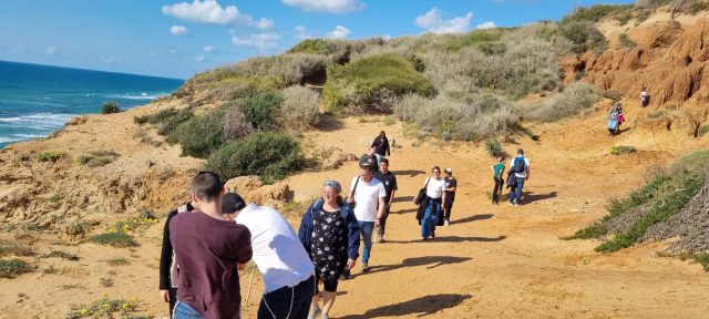 מרכז הצלה לצבי ים וגוזל נשר חדש: שנה משמעותית לחיות הבר בארץ