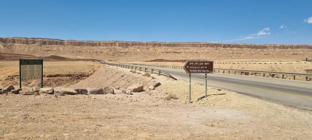 מרכז הצלה לצבי ים וגוזל נשר חדש: שנה משמעותית לחיות הבר בארץ