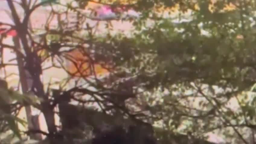 תקיפת אוטובוס דוברות המשטרה