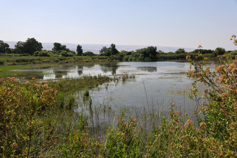 משרד הבריאות מזהיר: הכניסה לכאן מסוכנת