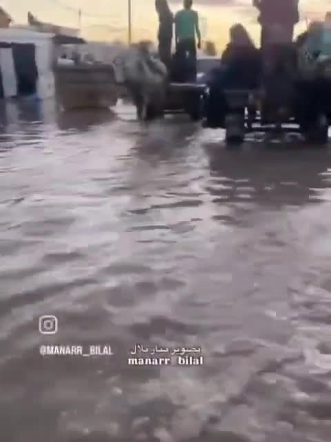 WhatsApp Video 2025 12 11 At 13.35.26