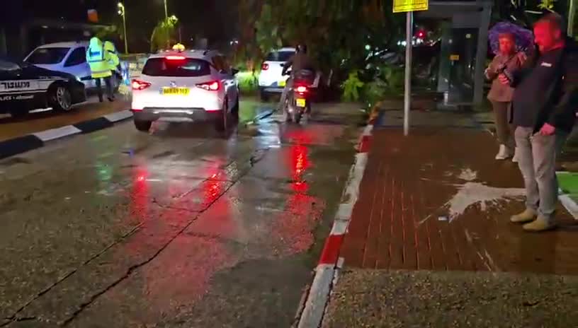 קריסת עץ חולון
