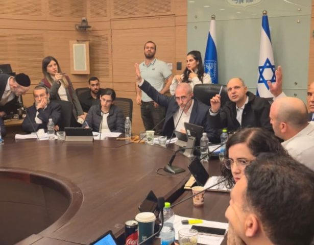 מתוך הדיון |