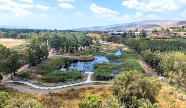 פארק ביצות כנרת. (צילום רחפן אבי אריש, לרשות ניקוז ונחלים כינרת)