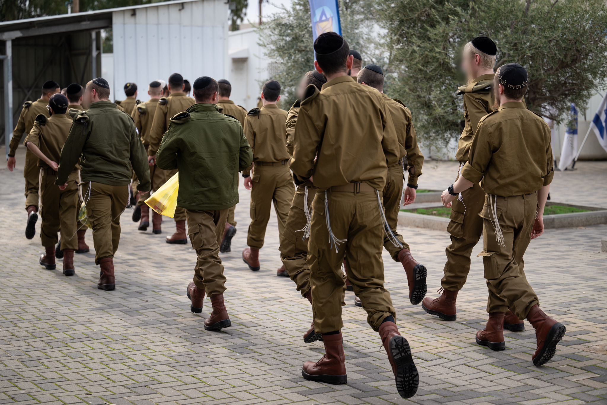חיילי החשמונאים