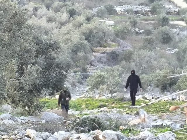 עשרות פורעים ערבים תקפו תושבים צפונית לקדומים