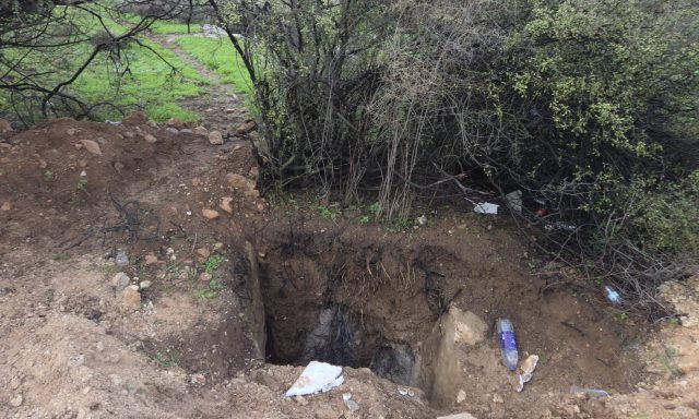 שודדי עתיקות נתפסו בזמן אמת וטענו: "יצאנו לקטוף פטריות"