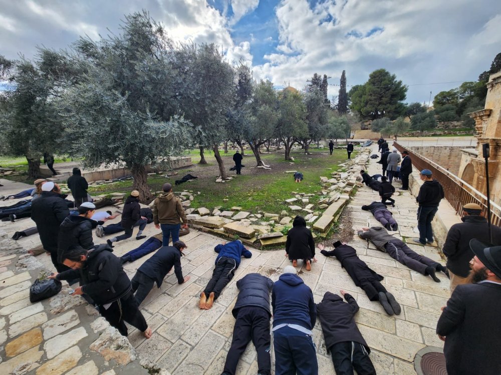 יהודים בהר הבית