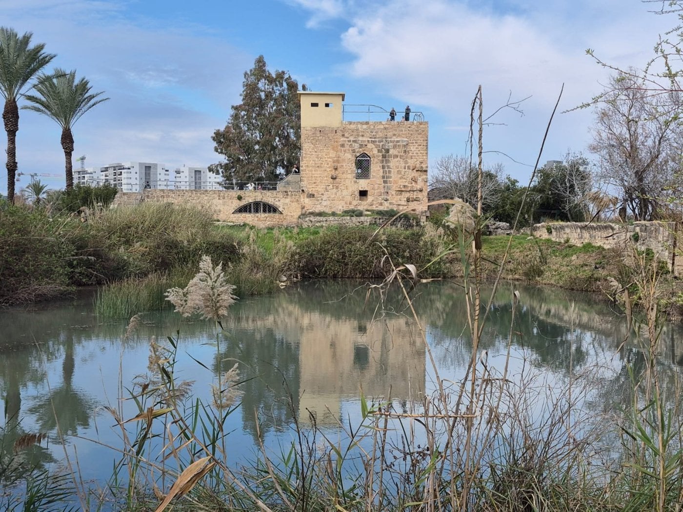 מנחל תנינים עד צלמון: איך המים עיצבו חיים ומורשת