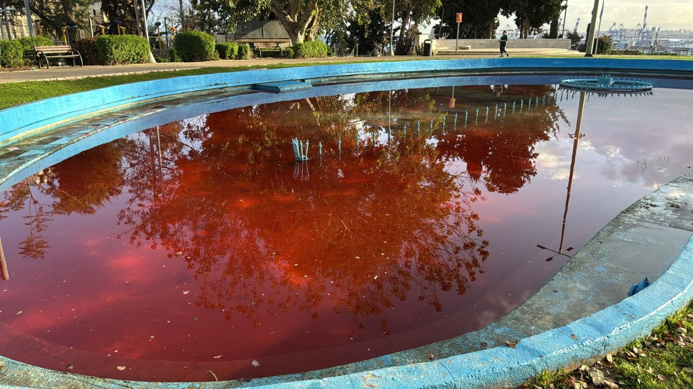 המזרקה בחיפה | צילום: דוברות המשטרה