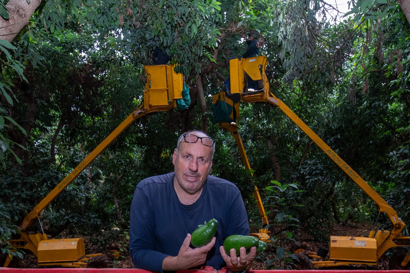עופר מוסקוביץ הי"ד