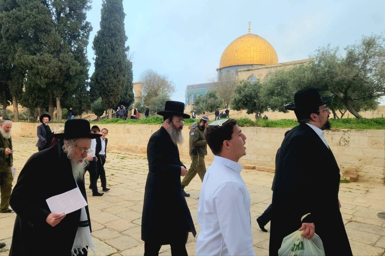 יהודים בהר הבית הבוקר