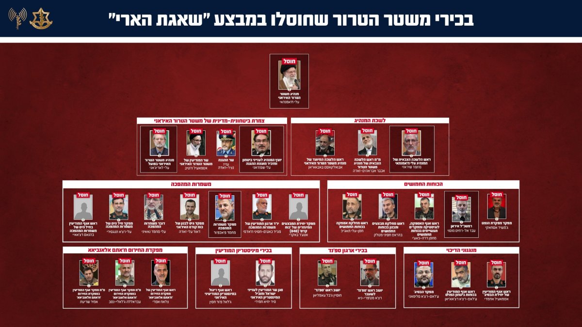 נתוני סיכולים