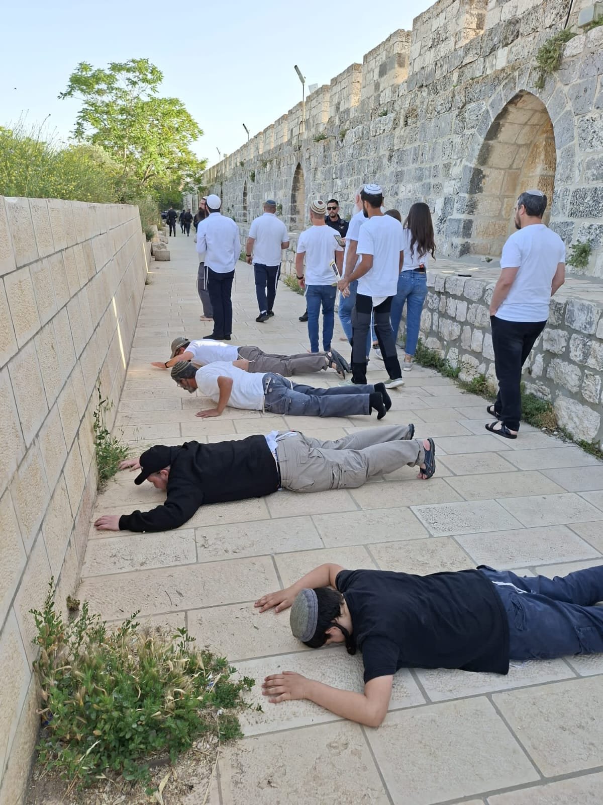 יהודים משווחים הר הבית