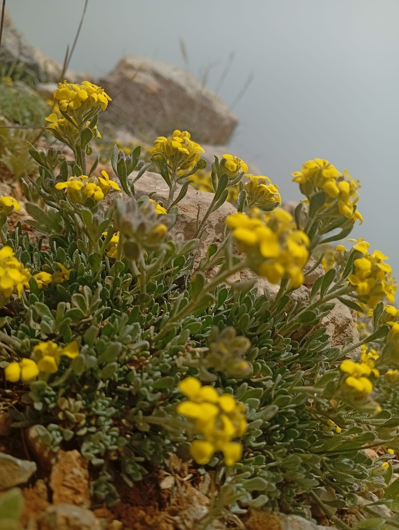 סיור עם החברה להגנת הטבע