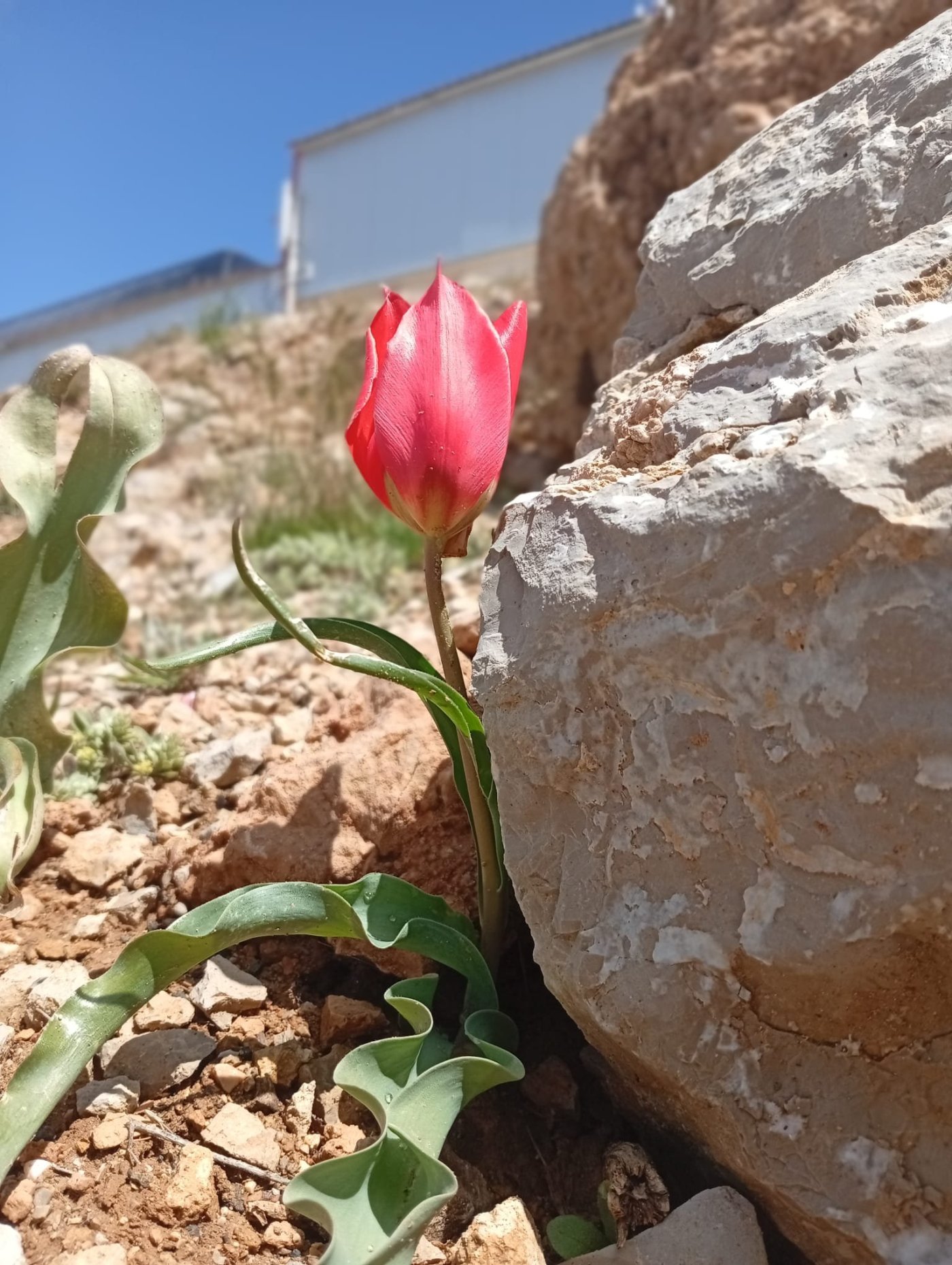 סיור עם החברה להגנת הטבע
