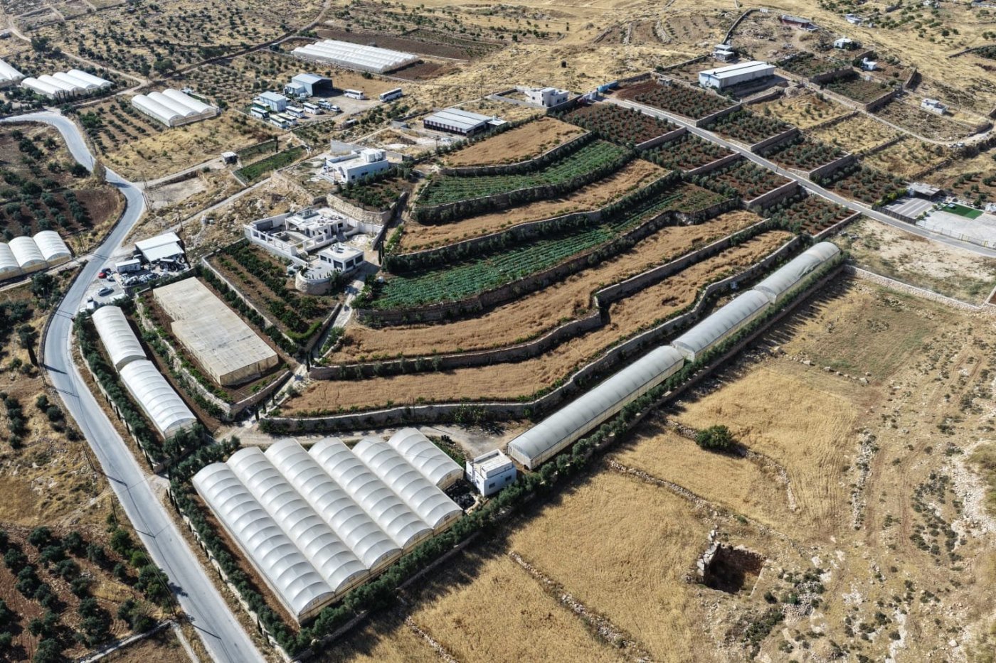 השתלטות פלסטינים
