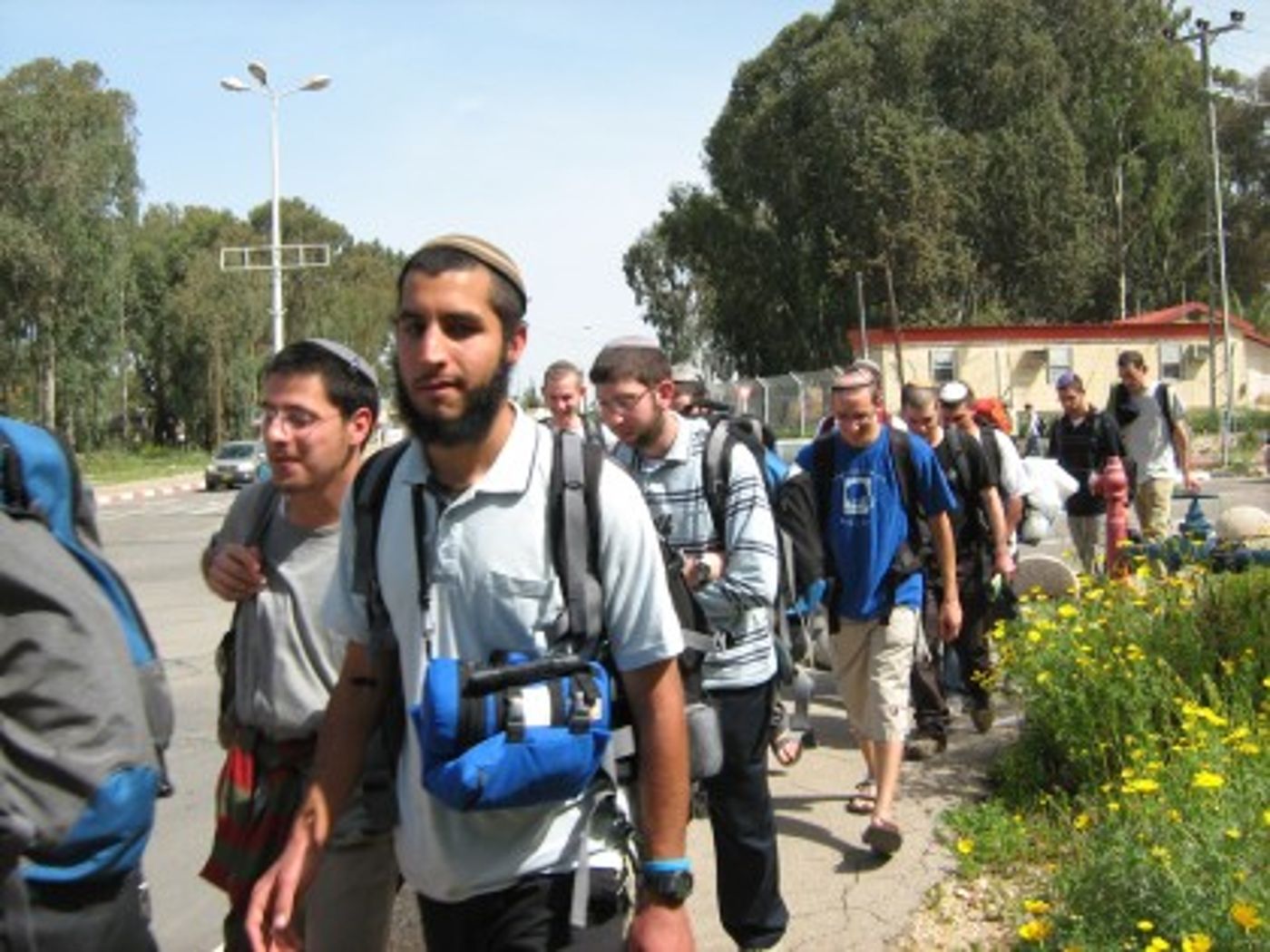 ביינישים הולכם בתלם