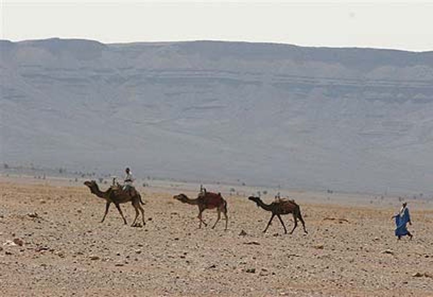 המעגל נסגר: ראש הקהילה שגורש מטריפולי, שב ללוב