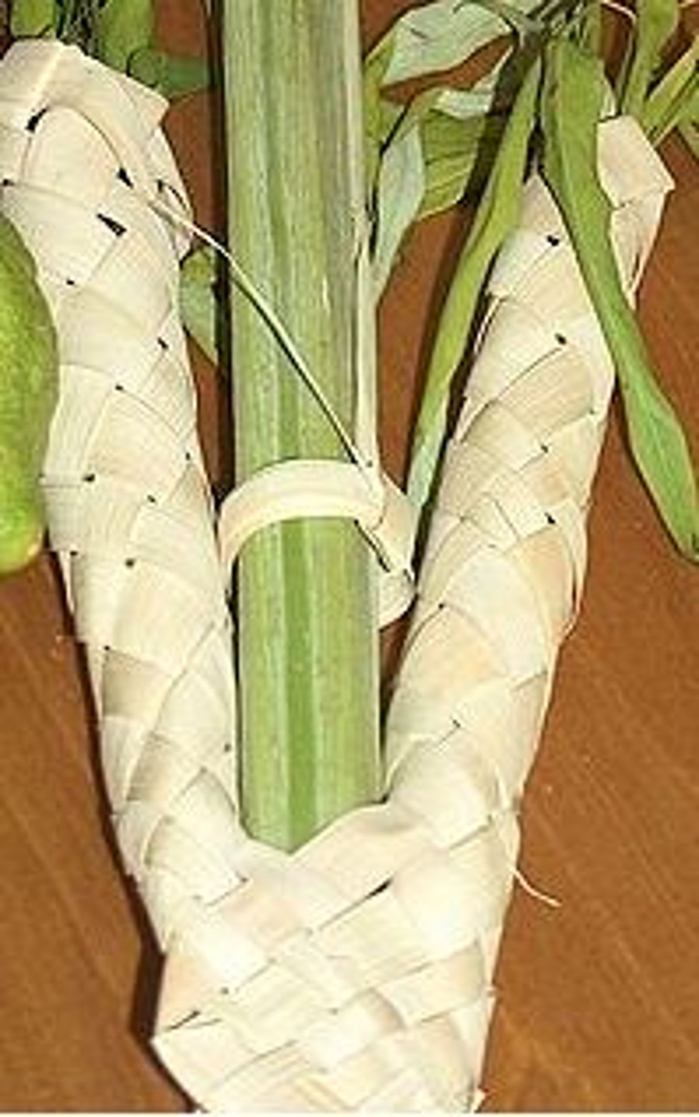 שלא יעבדו עליכם: הלקסיקון המלא לשוק ארבעת המינים