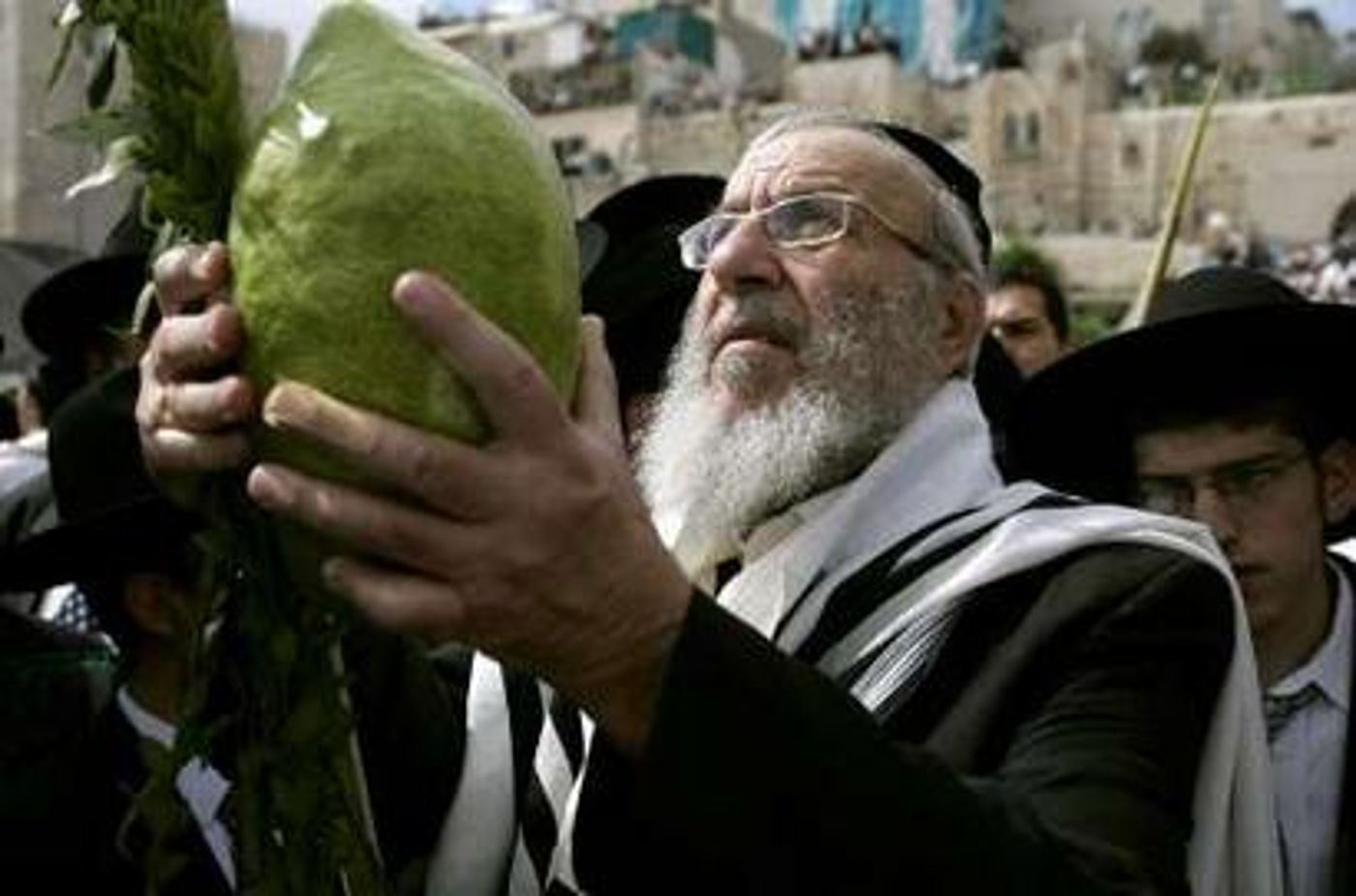 שלא יעבדו עליכם: הלקסיקון המלא לשוק ארבעת המינים