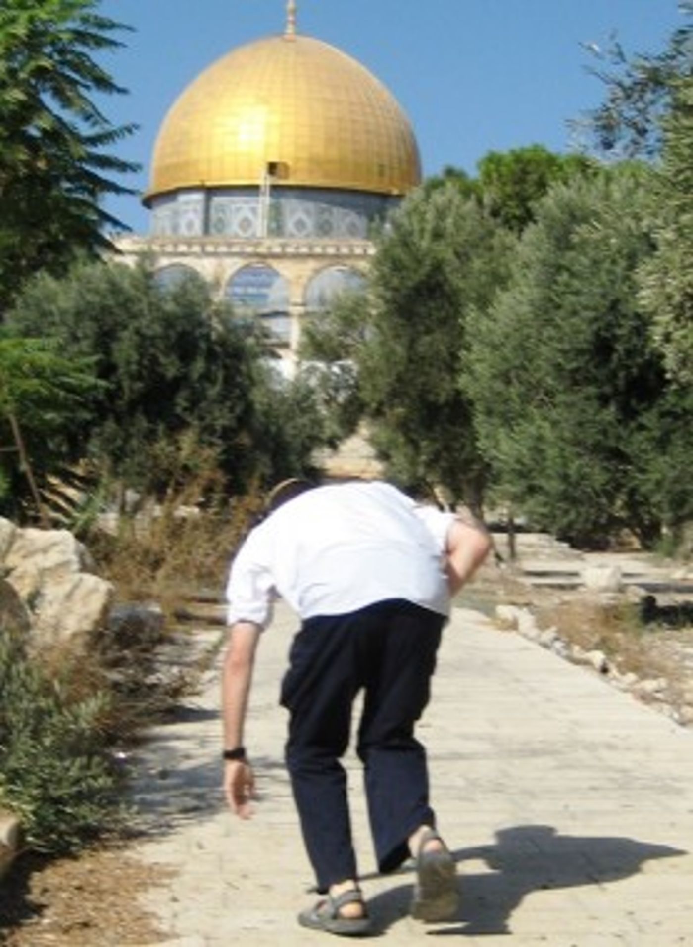 תיעוד: יהודים מתפללים ומשתחווים בהר הבית בחג הסוכות