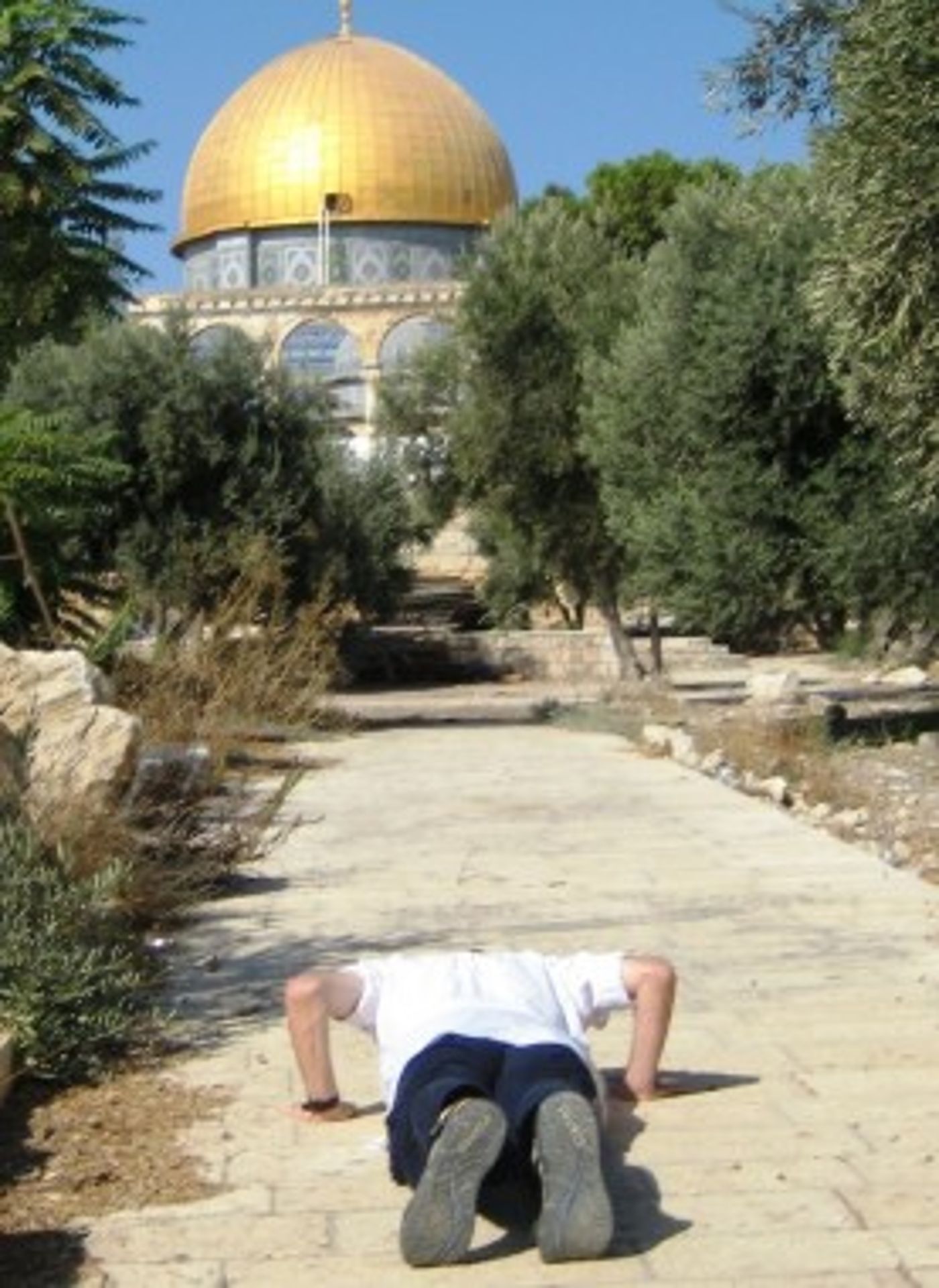 תיעוד: יהודים מתפללים ומשתחווים בהר הבית בחג הסוכות